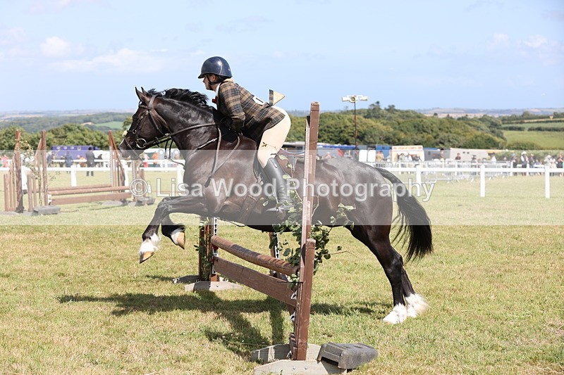 JPP_2229 - Class 19: Working Hunter 60cm