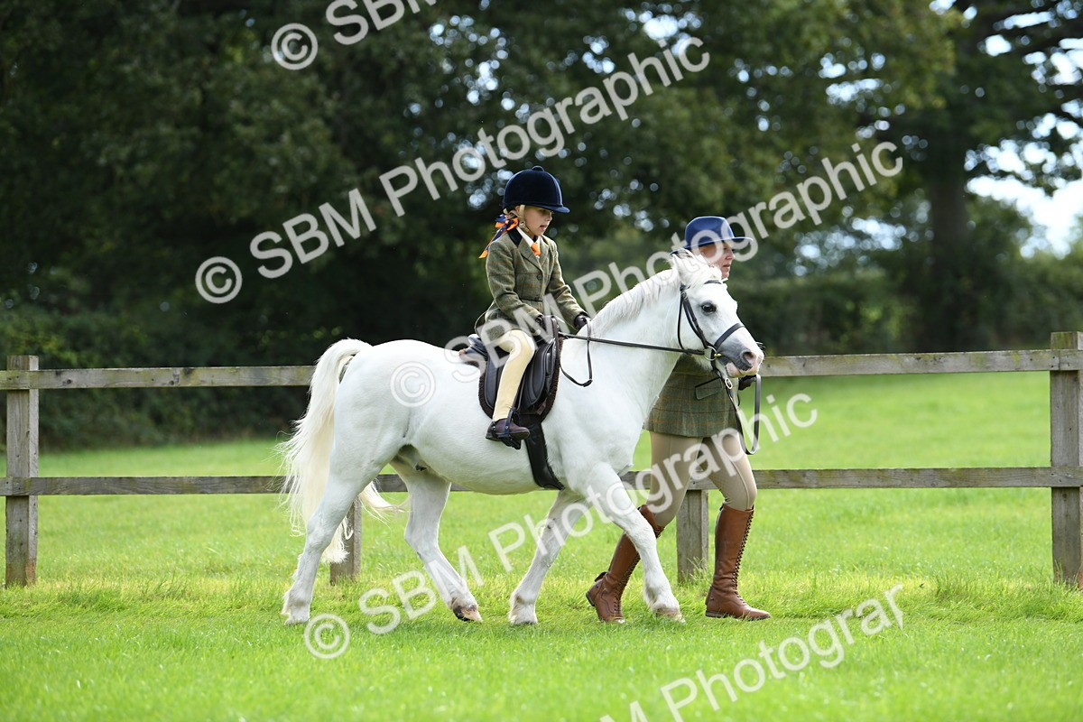 SBM_42477 - S20 - Lead Rein Mountain & Moorland Pony