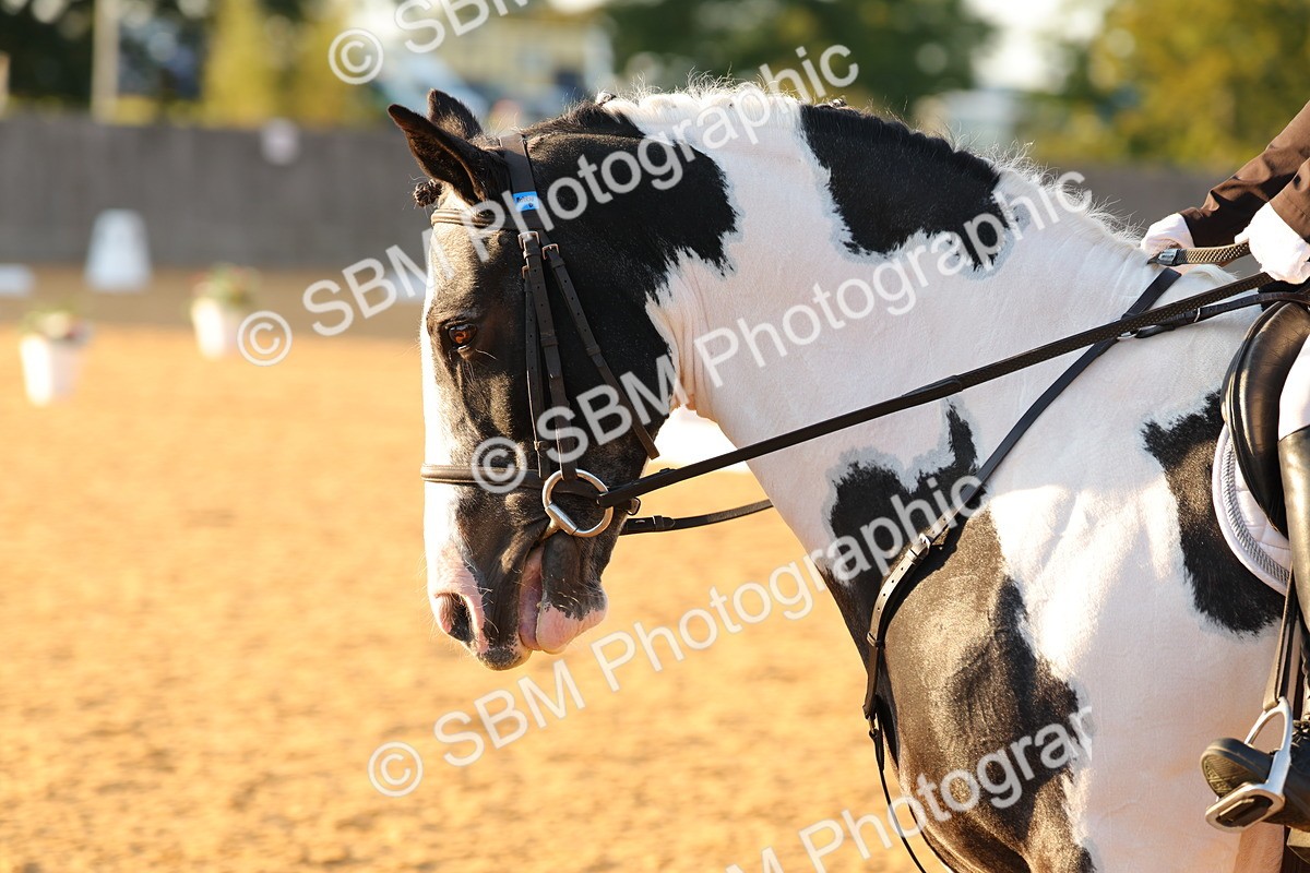 SBM_54568 - D12 - Small Tour Championship - Prelim 18