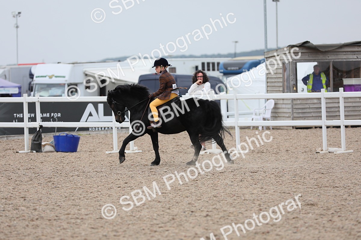 SBM_18141 - Class 316 Best Pony/Rider Combination