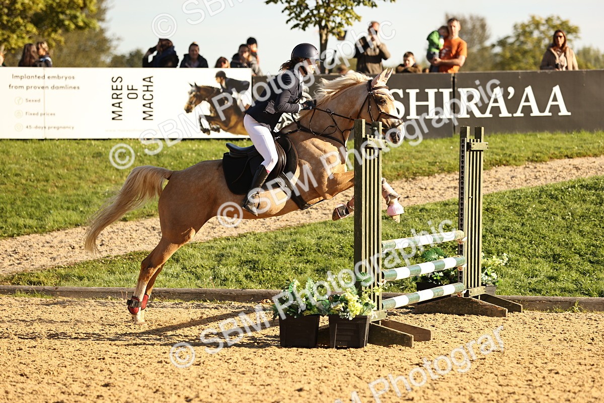 SBM_34616 - J38 - Senior 80cm Championship