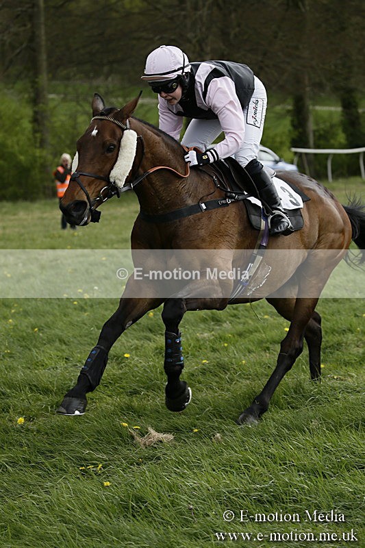 PtP 170417 185 - Old Berks Point-to-Point Lockinge 17/04/17