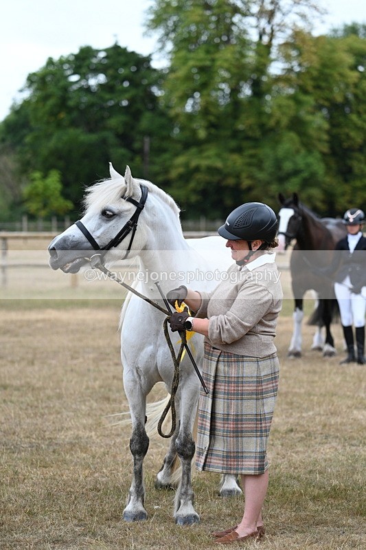 WJ7_9279 - Class 4a Prettiest Mare 14.2hh and over