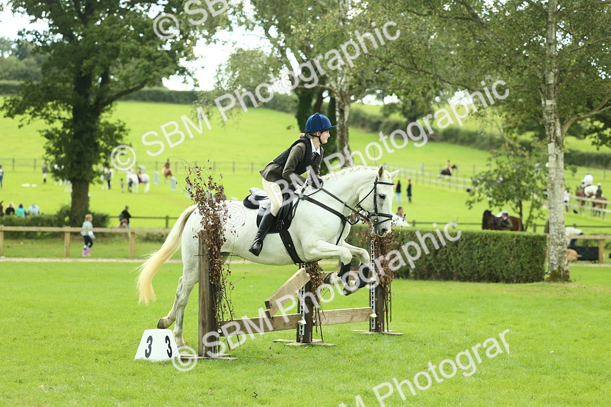 SBM_44722 - S31 - Working Hunter Pony