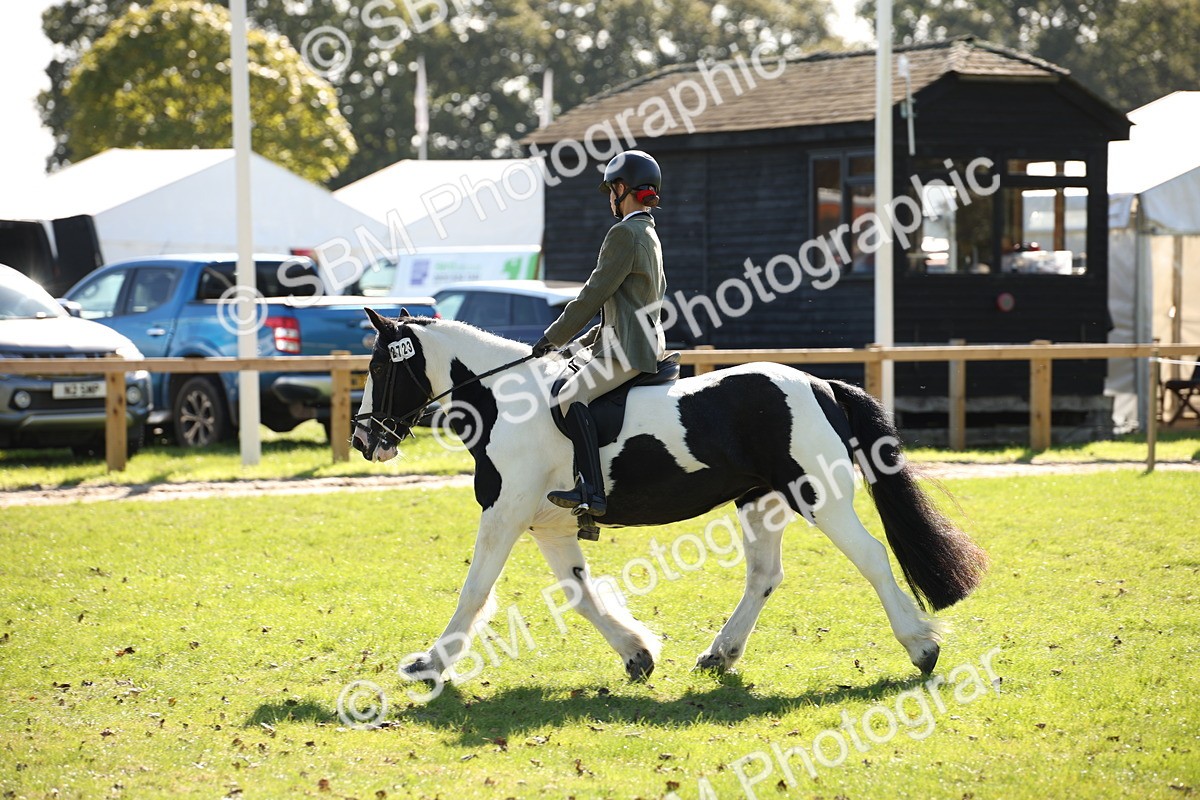 SBM_38997 - S11 - Best Ridden Horse & Pony