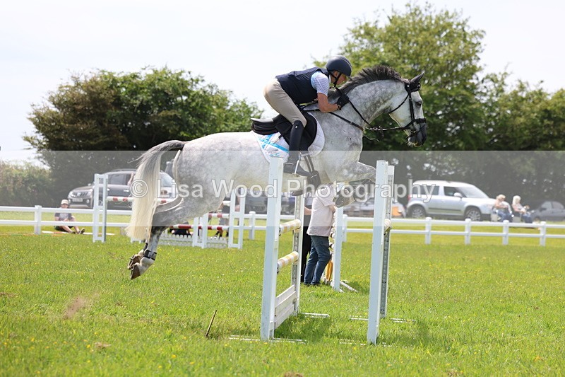 3E7A1395 - Class 12: Senior Foxhunter/1.20 open