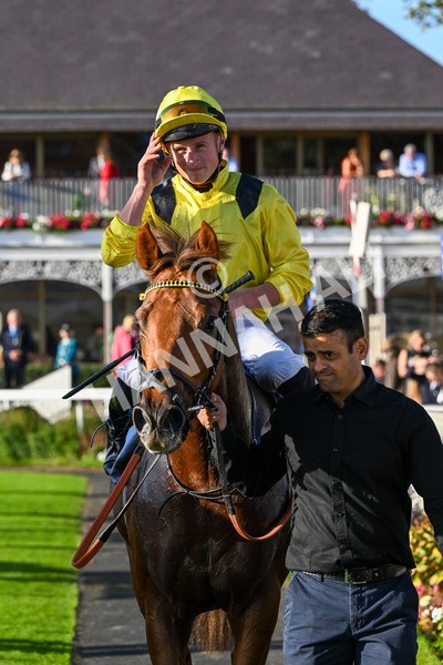 111025-Race 5-Morshdi-0582 - Race 5 Coral 'We're Here For It' EBF Maiden Stakes at York