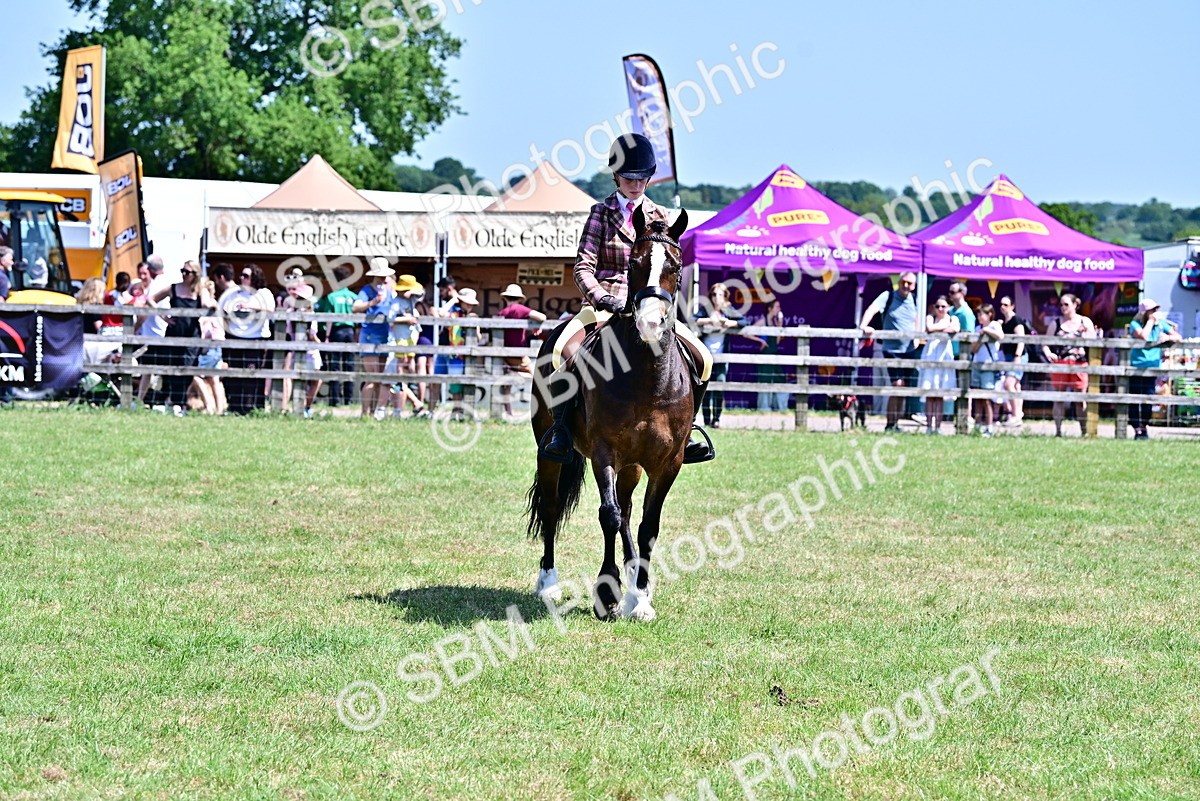 SBM_15409 - Class 95-97 - BSPS LHS Performance Ponies