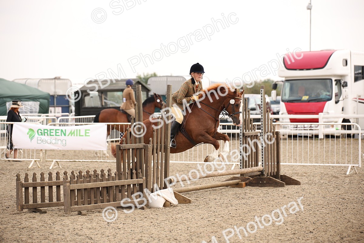 SBM_12257 - Class 405a - M&M Working Veteran 50cm (15-19)