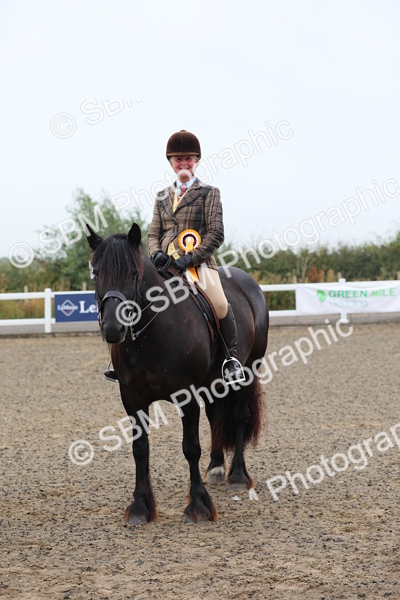 SBM_19968 - Class 801 - Ridden Veteran