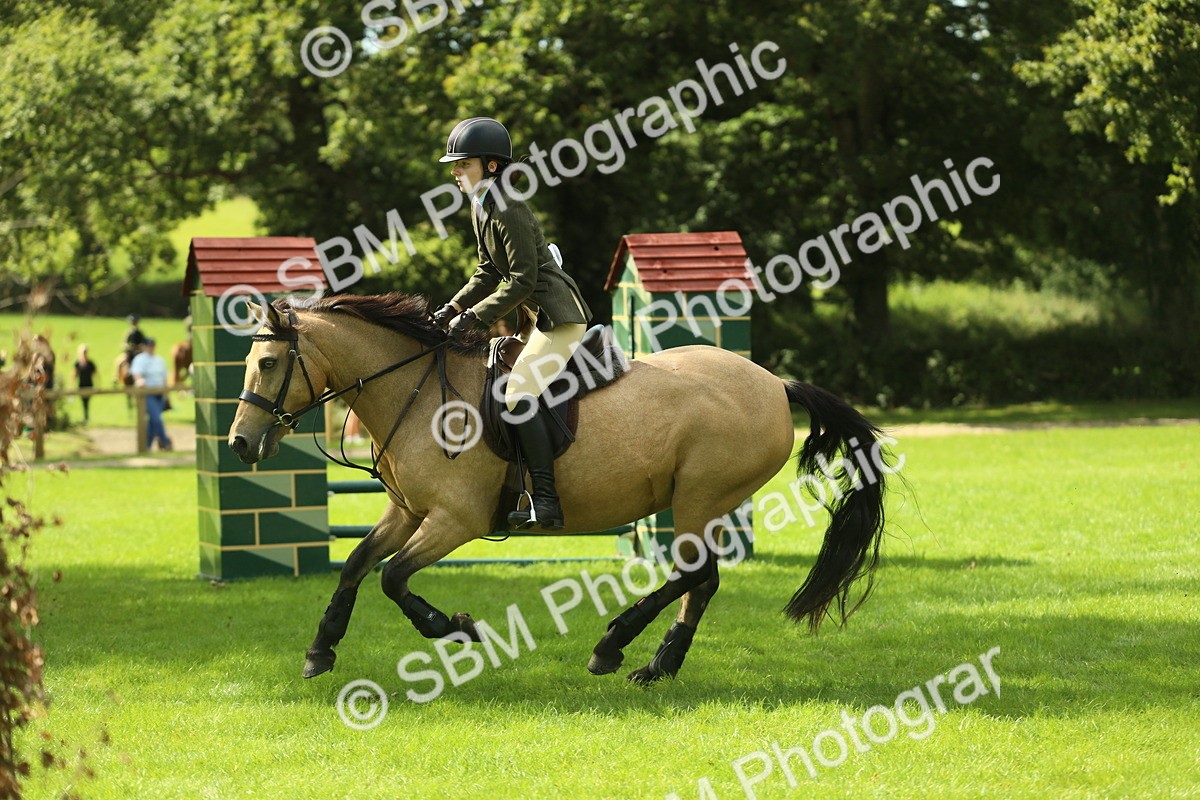 SBM_42861 - S30 - M&M Working hunter Pony