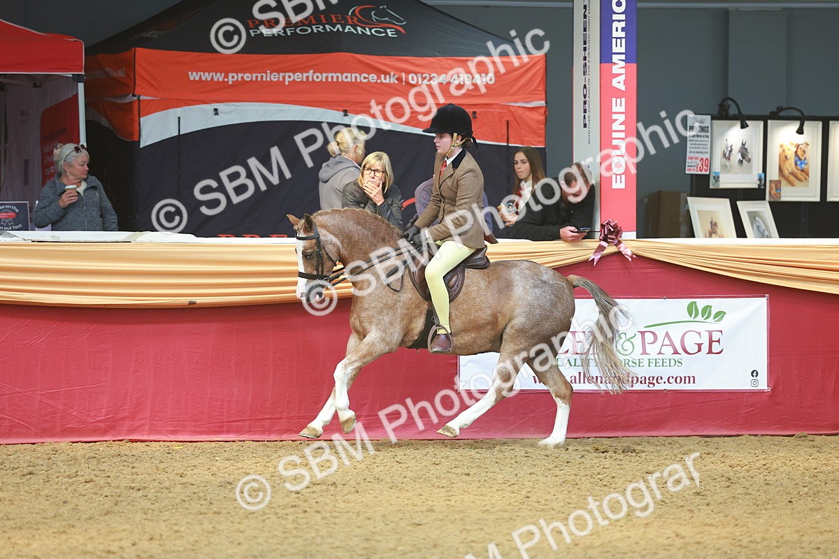 SBM_12514 - Class 103 - HOYS Veteran Qualifier - Ridden Pre Vet