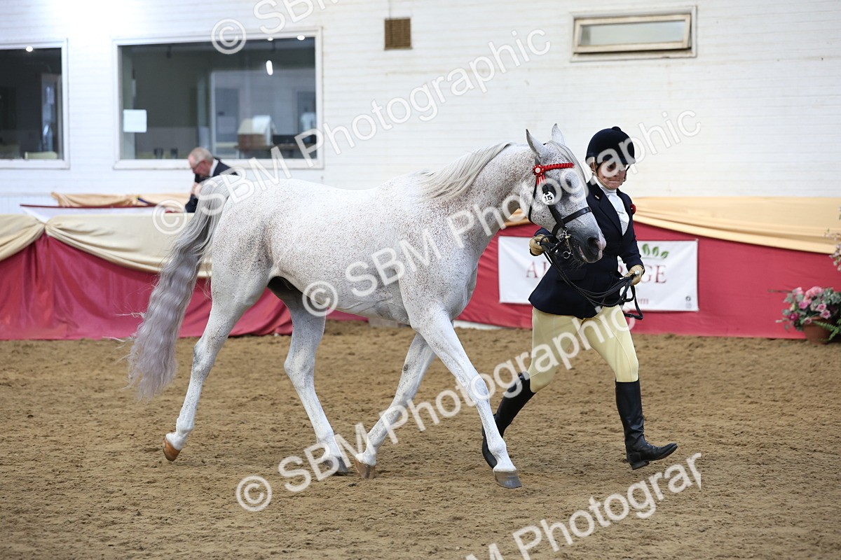 SBM_23638 - class 906 - Supreme Final - Ridden Pre Vet