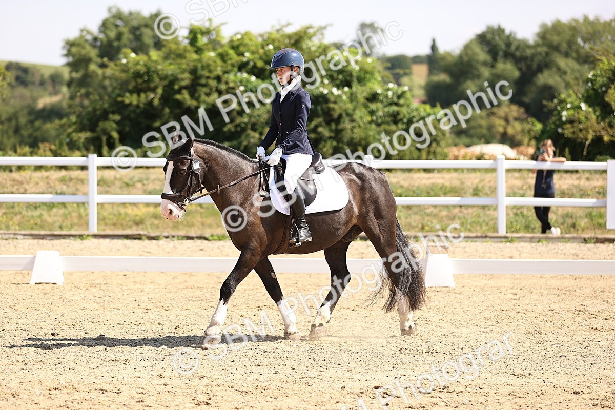SBM_003548 - Intro 2