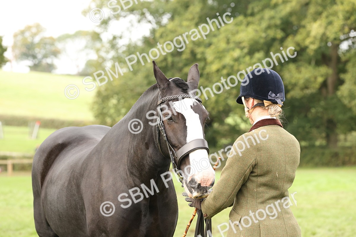 SBM_57511 - S56 - Show Cob in Hand