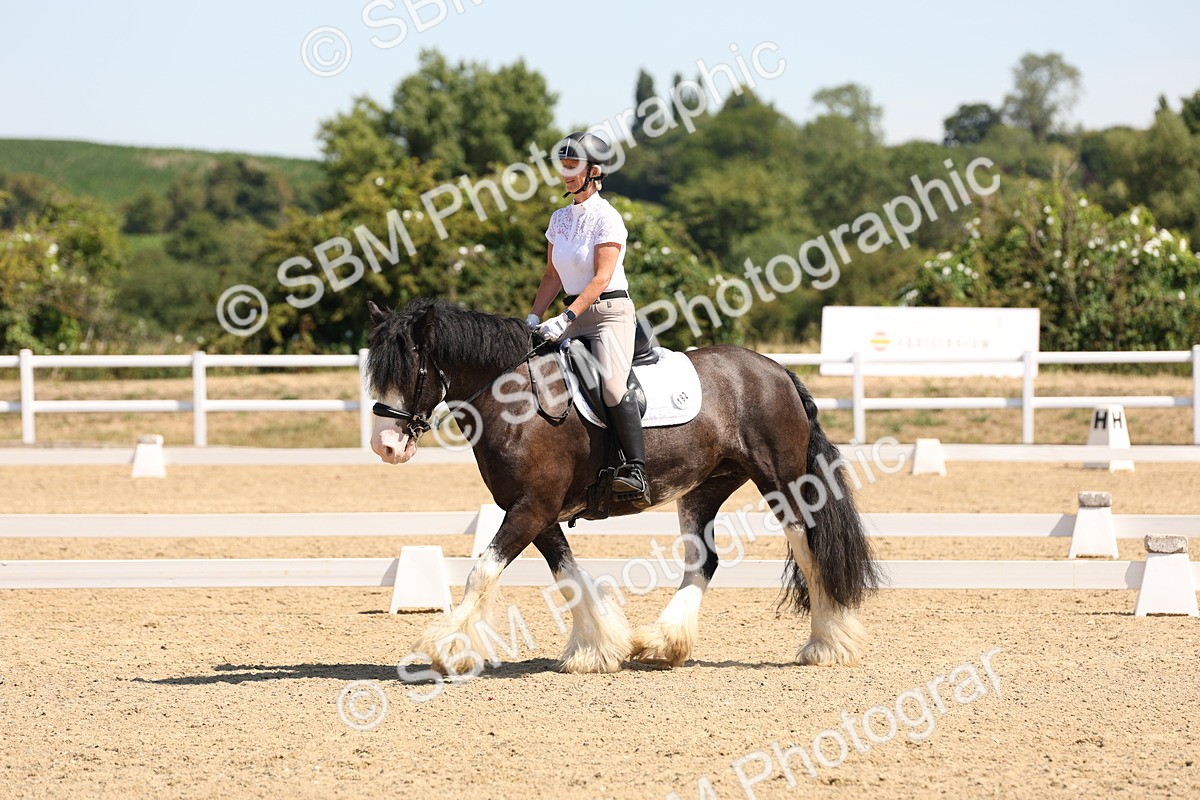 SBM_001200 - Intro 2