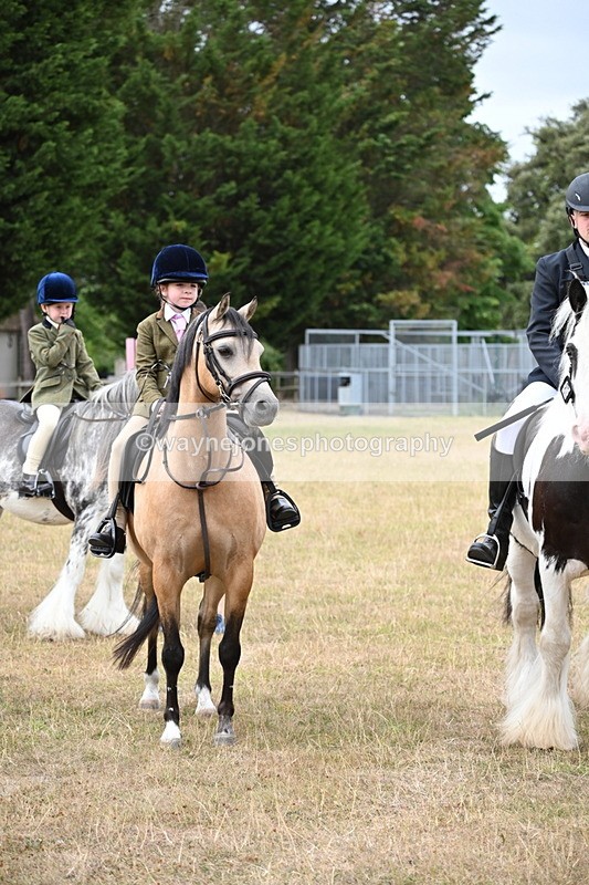 WJ6_7683 - Class 9 Tack and Turnout