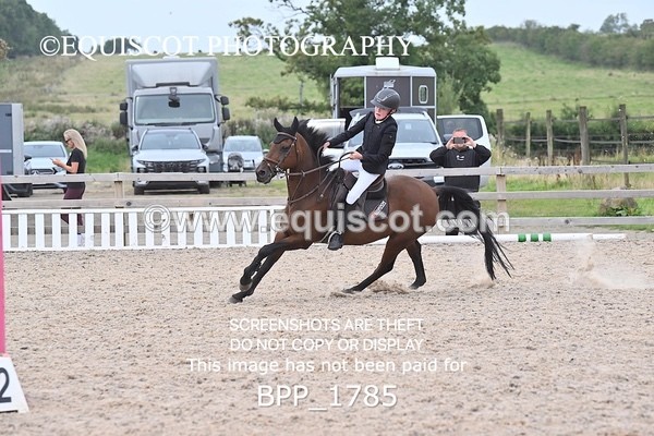 BPP_1785 - CLASS 12 Pony BritiNovice / 0.80m Open