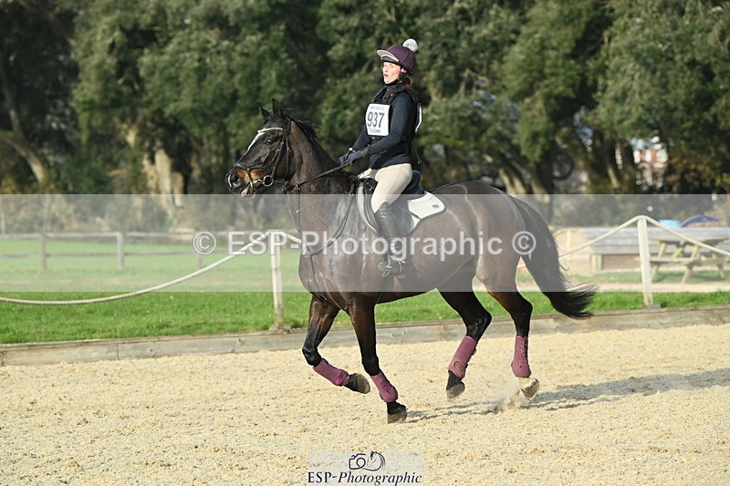 250309A-155643-02210 - Cls 03 90cm 15.05 to End