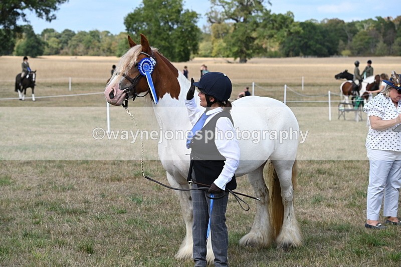WJ6_6716 - Class 20 In-hand Cob