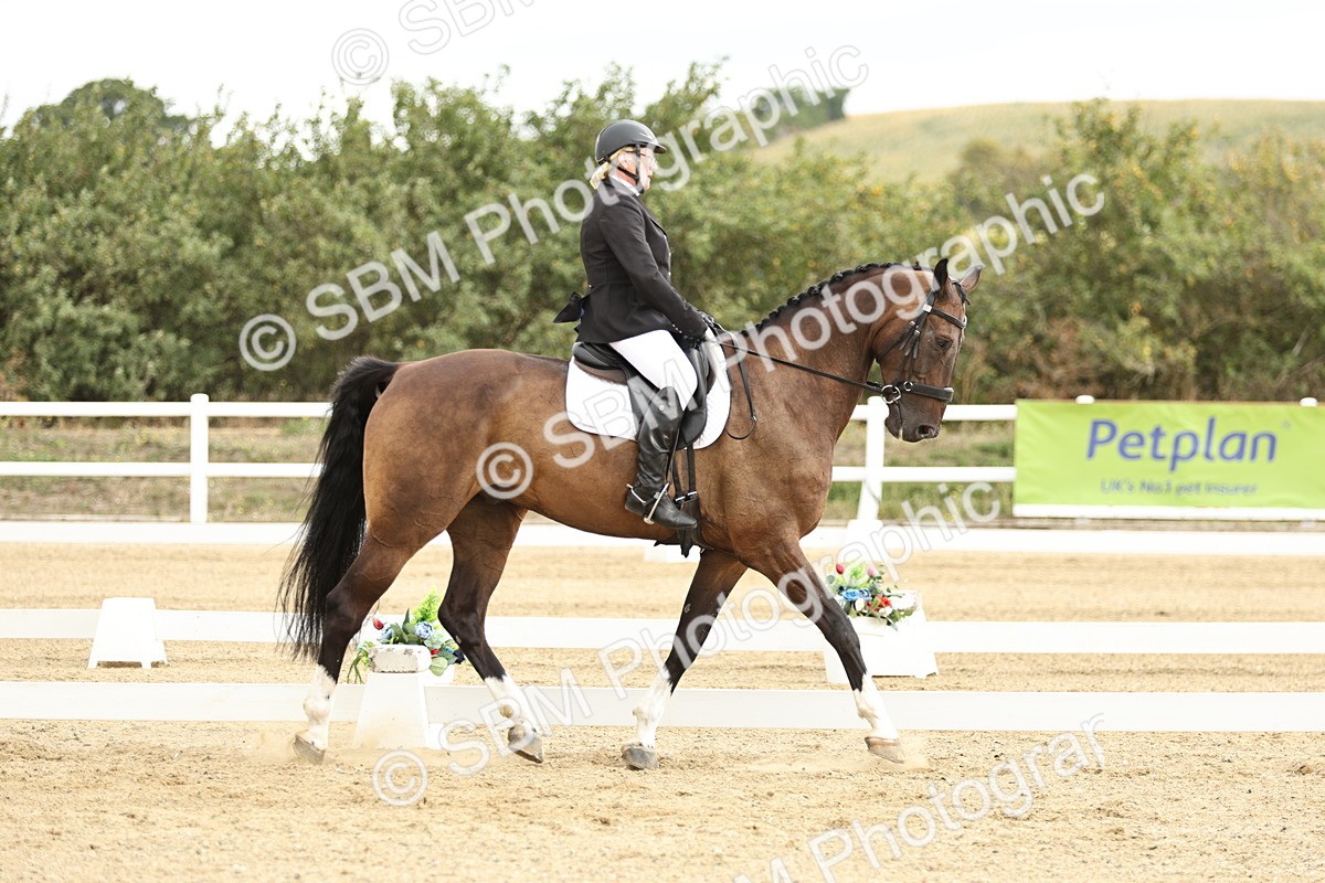 SBM_006937 - Class 21 - Medium 5 Bronze - 10.04-10.52