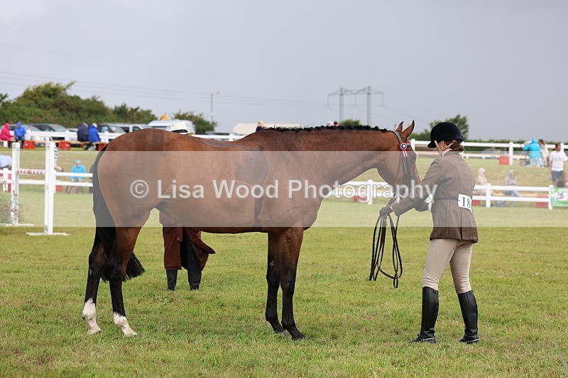 3E7A1068 - Class 8: Open Riding Horse/Hack