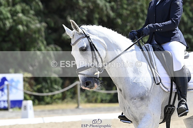 250810A-135438-06792 - 075-Amelia.StruelTanzanite.Silver.Lining