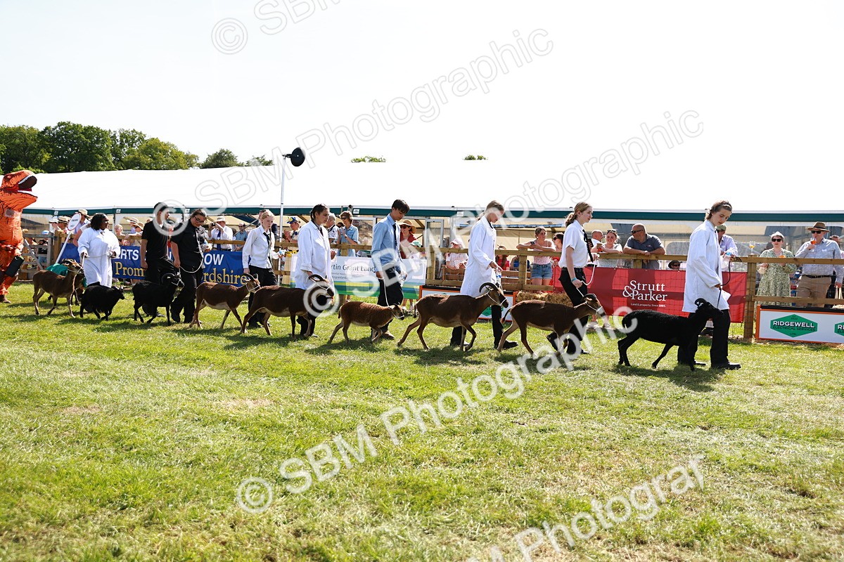SBM_08402 - Grand Parade