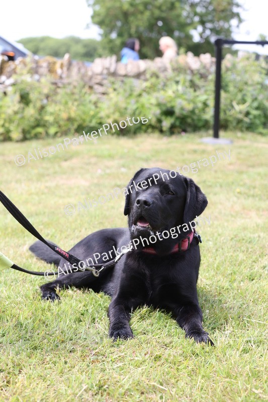 20250607-0009 - Misc