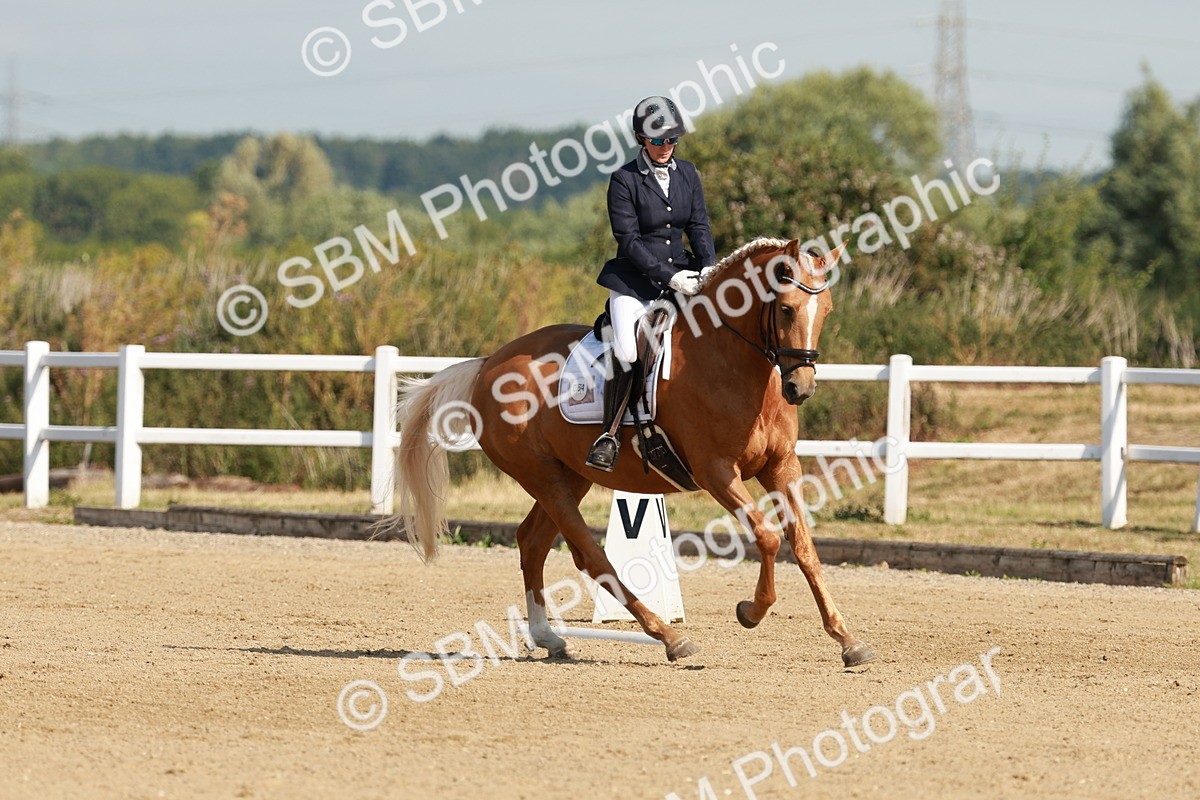 SBM_021099 - Class 12 - P6