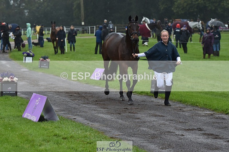 231018-120716-00086 - 009-FUTURE.GRAVITIE-Gini.Hope-TrotUp