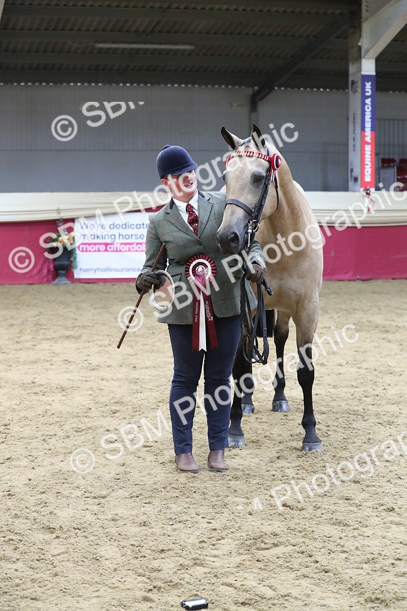 SBM_05043 - Class 8R- Regional -IH Veteran
