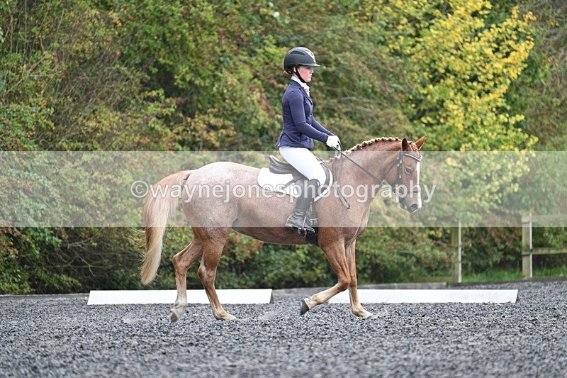 WJ7_3696 - Time 11:04 to 11:38