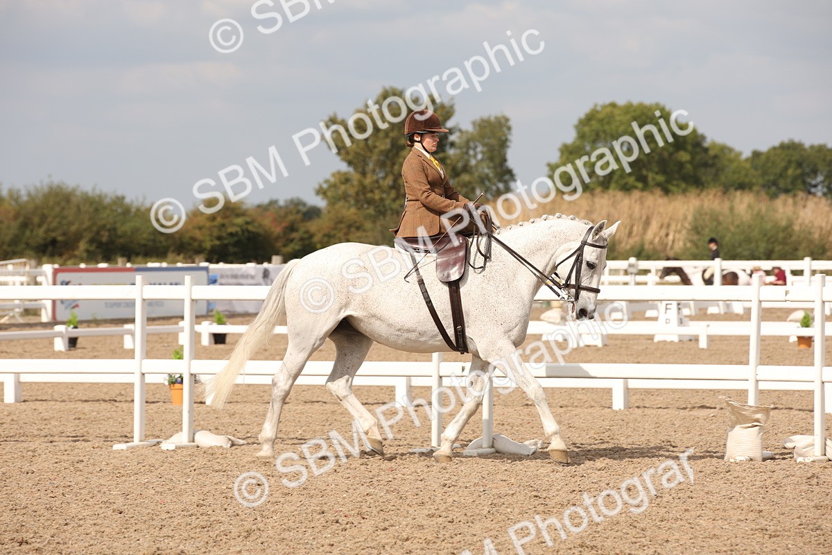 SBM_06707 - Class 24 Concours d'elegance