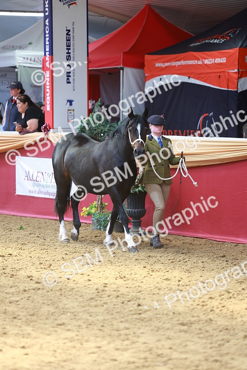SBM_04090 - Class 9R - IH Pre-Vet