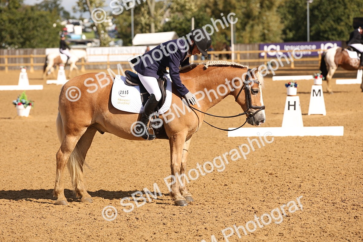 SBM_37693 - D18 - Grand Tour Championship Novice 2