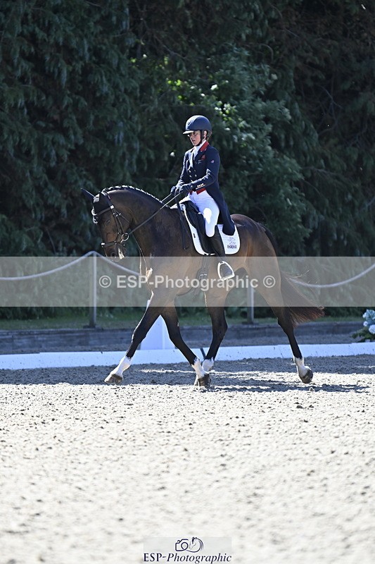 250522A-101416-02651 - B-310-Kitty.King-LISCARROW.FERNHILL