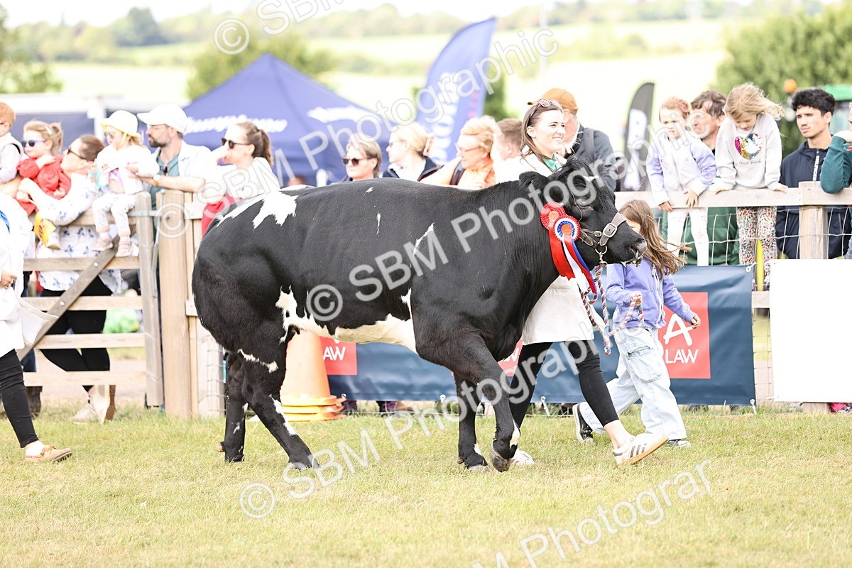 SBM_16885 - Grand Parade