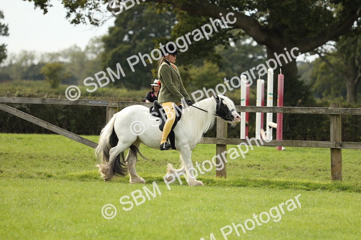 SBM_71480 - S41 - Ridden Equitation (Best Rider)