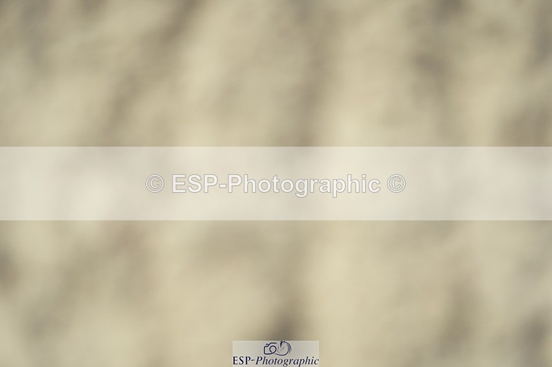 230909-125436-05848 - Cls 17 Snr 1.05m Open