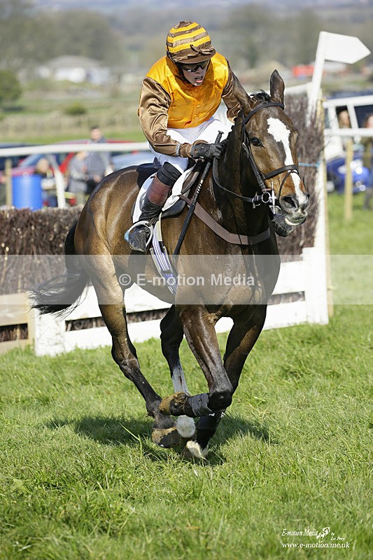 PtP 200322 254 - Mendip Farmers Point-to-Point 20/03/22