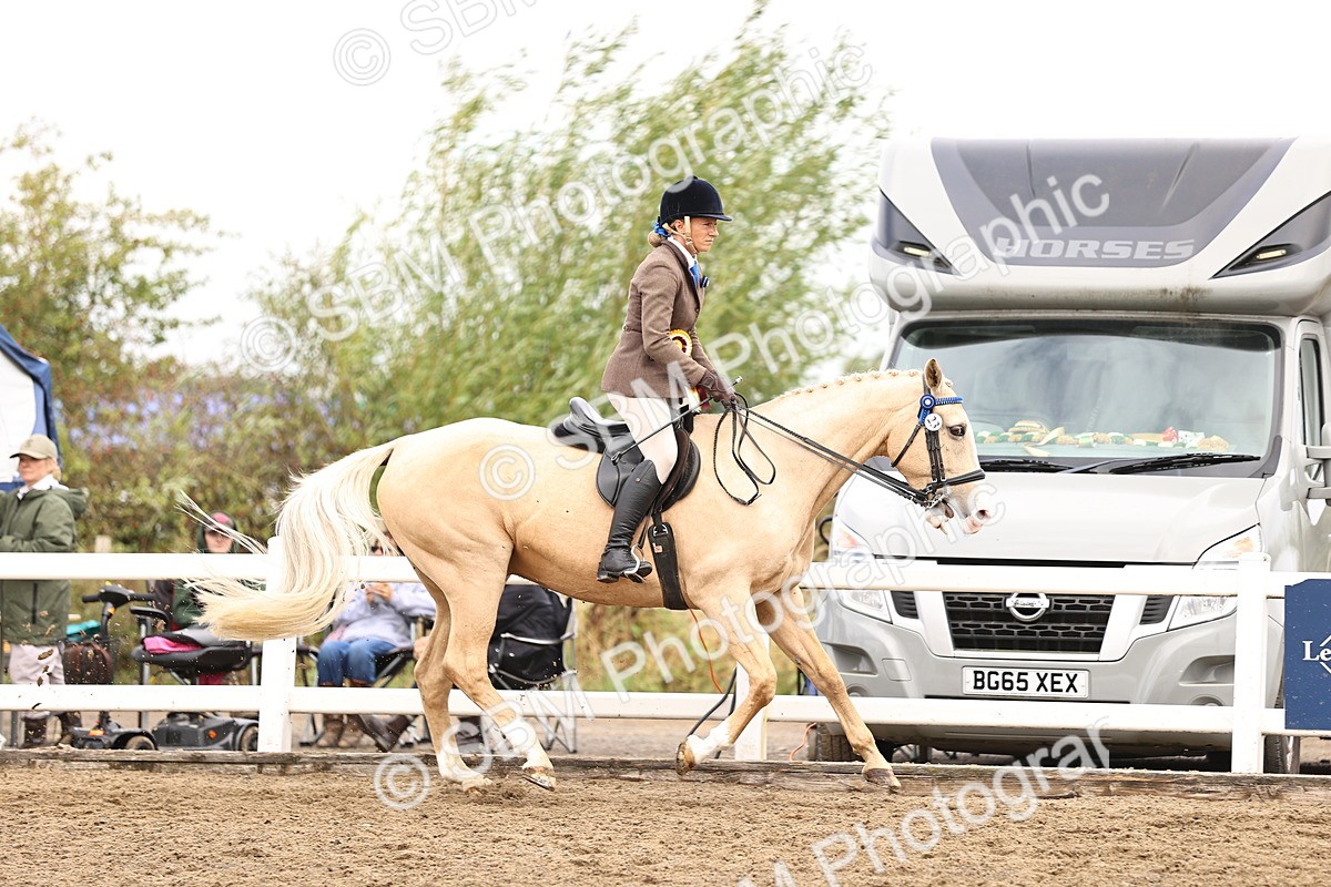 SBM_01460 - Class 54 - Riding Club Horse Pony
