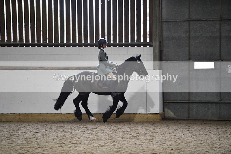 WJ5_7898 - Class 13 Ridden Part Breed