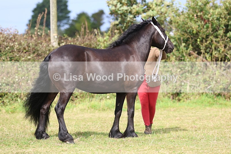 3E7A4694 - Class 16: Best Grass Kept