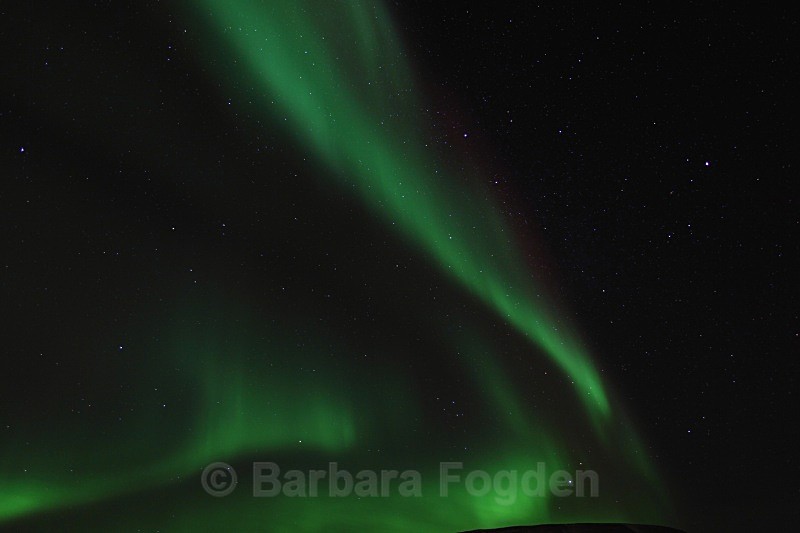 Northern light in Adventdalen 4901 - Polar night