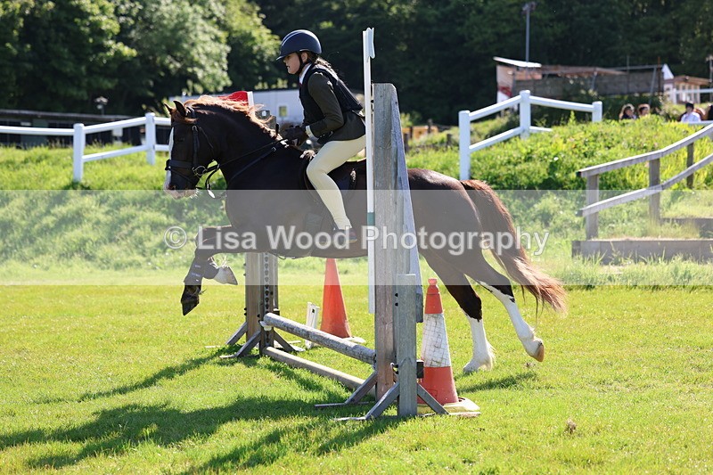 3E7A5941 - Class 27: Novice Working Hunter Pony