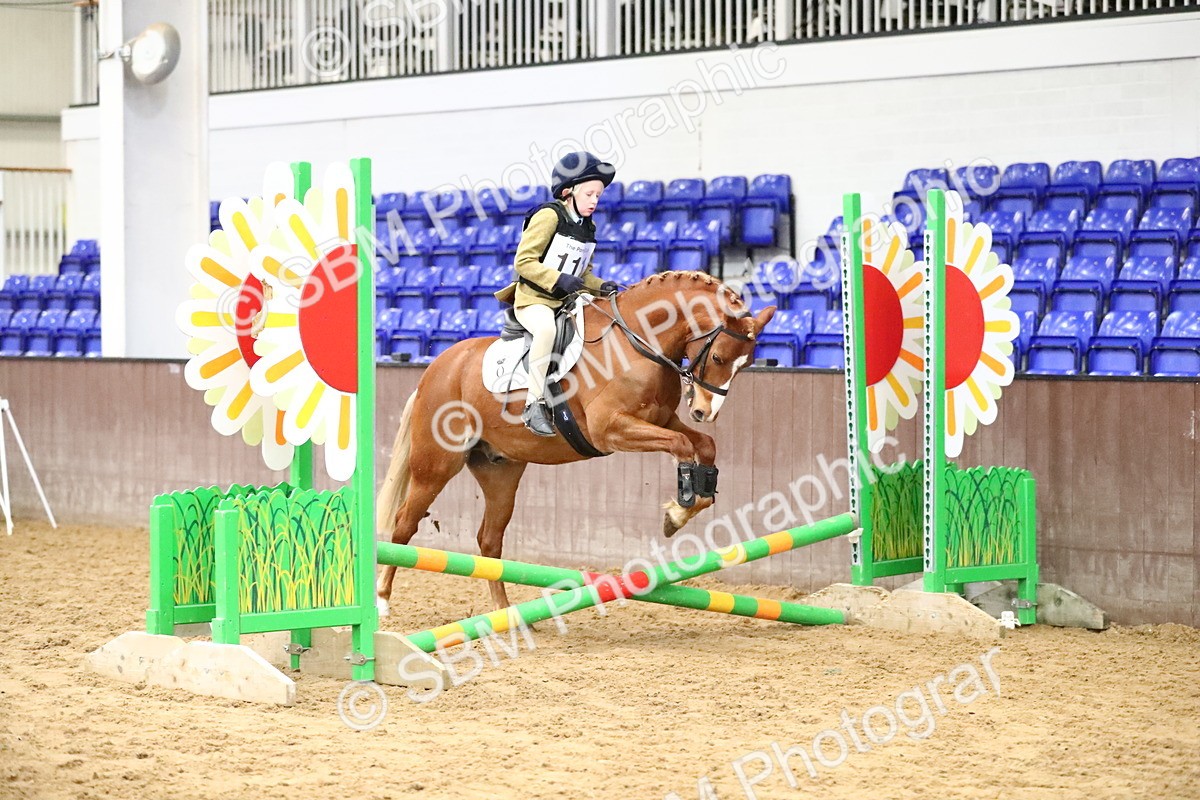 SBM_000645 - Class 2 - 40cm