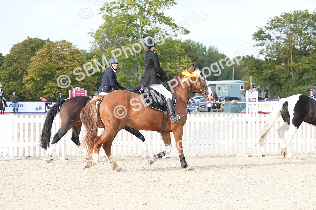 SBM_48922 - J22 - Junior Horse 65cm Championship
