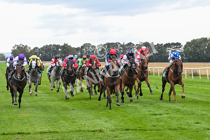 060925-Race 5-Eternal Sunshine-5869 - Race 5