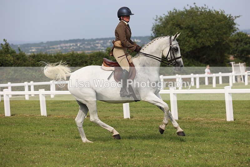 JPP_4242 - Class 25: Working Show Horse